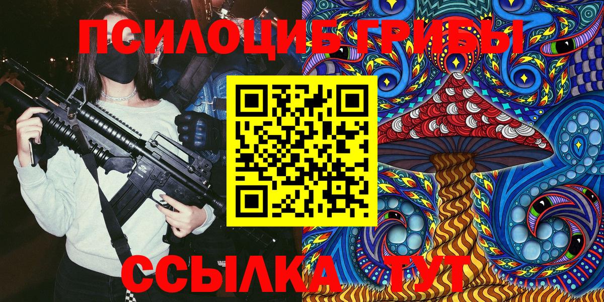 Галлюциногенные грибы Psilocybine cubensis Волгодонск